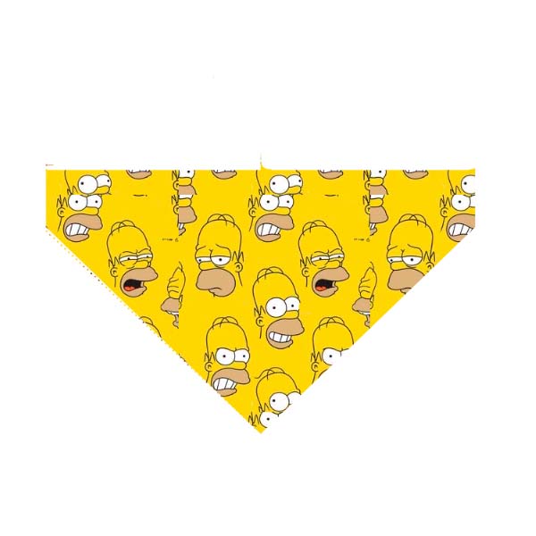 bandana homero