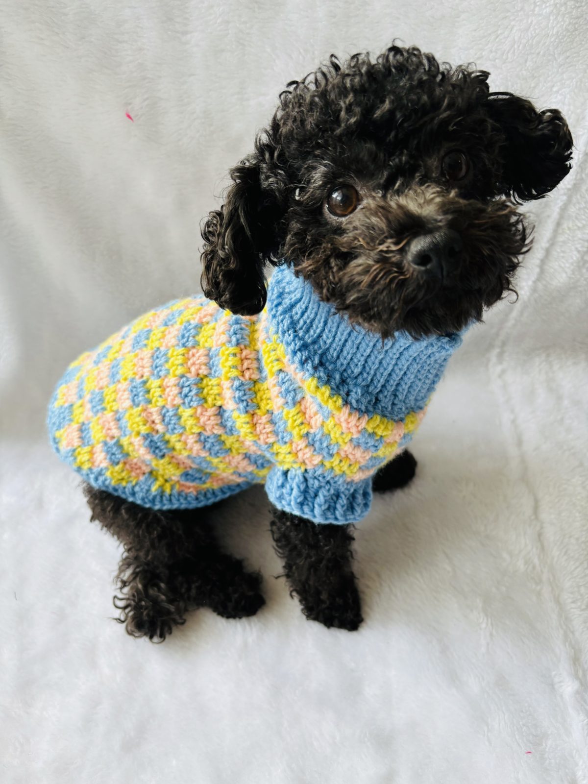 Jersey Cielo chic