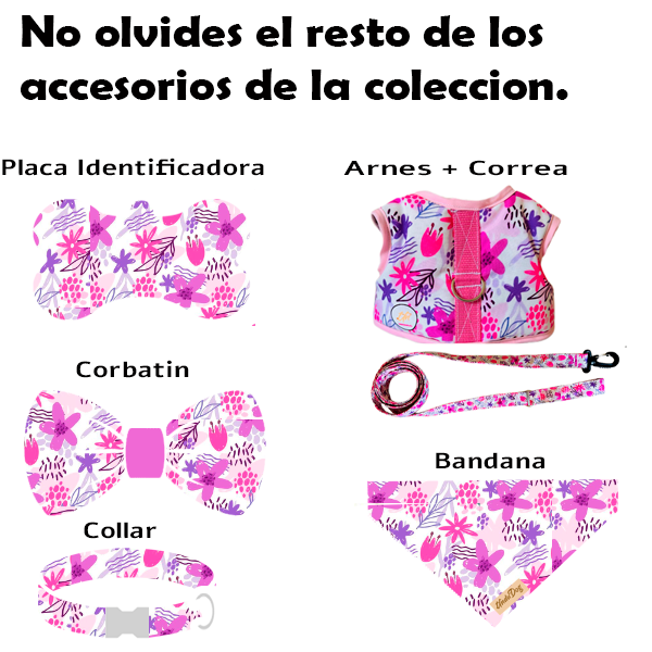 COLECCION PARA MASCOTAS EKINA