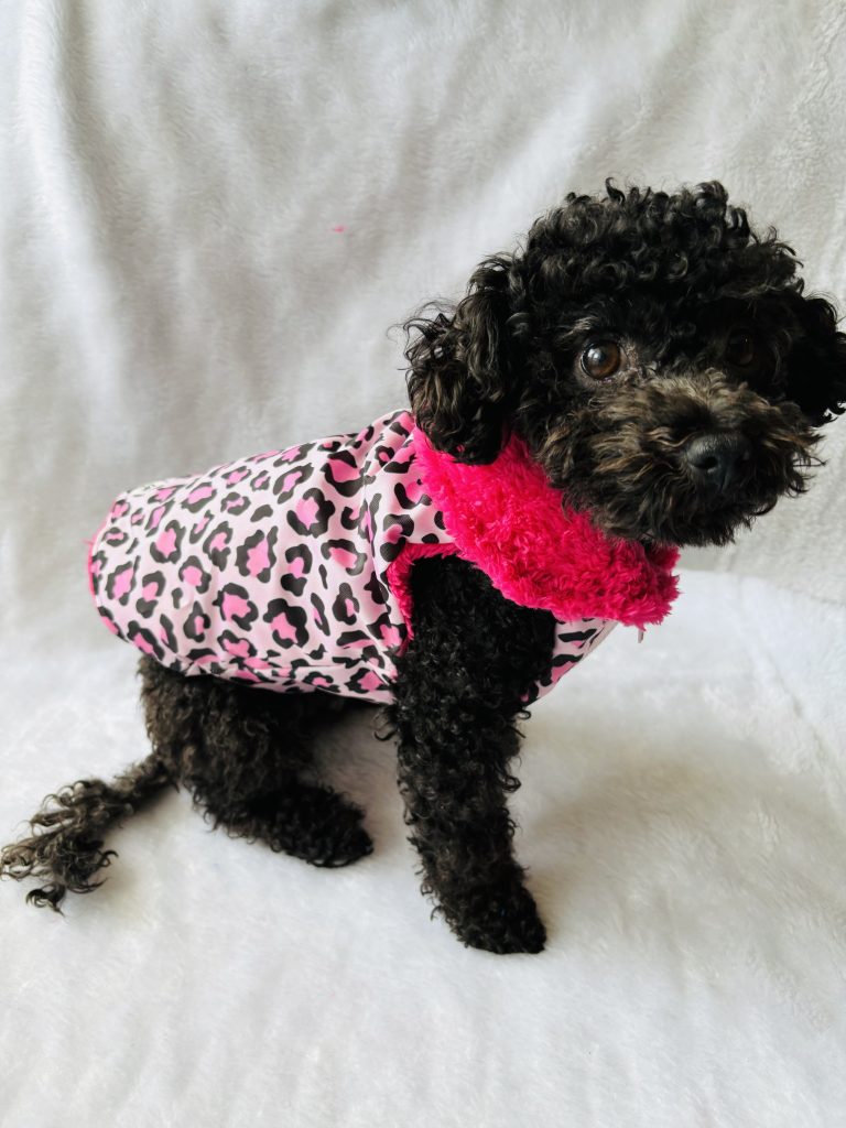 chaqueta impermeable