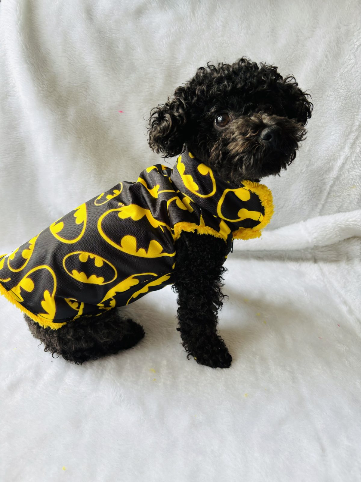 chaqueta impermeable