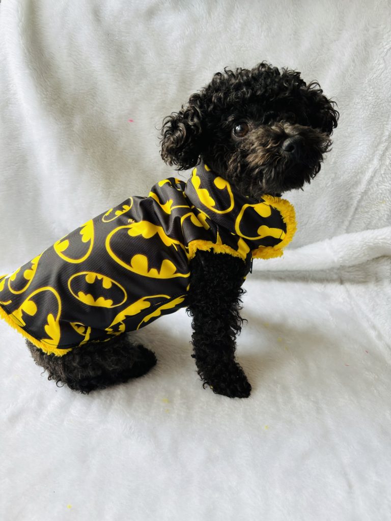 chaqueta impermeable