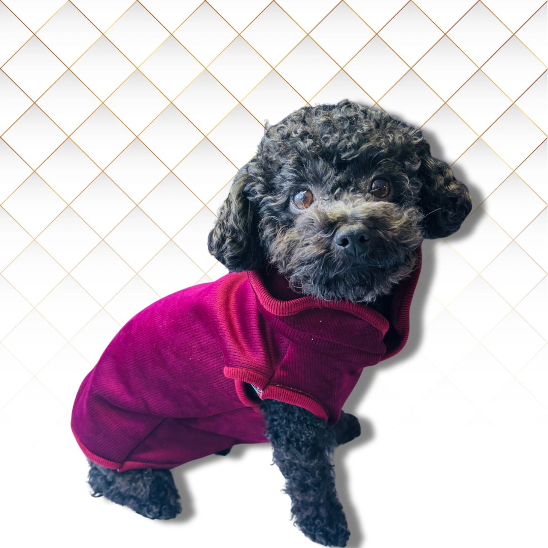 POLERA CHIC