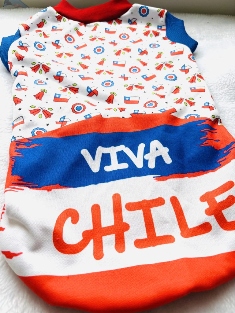 poleron viva chile